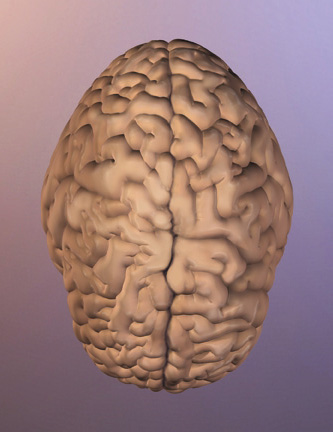 Brain Atrophy and B Vitamins