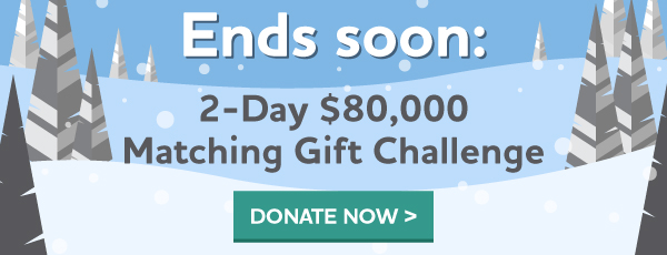 Ends soon: $80,000 Matching Gift Challenge