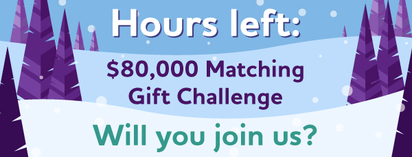 Hours left: $80,000 Matching Gift Challenge