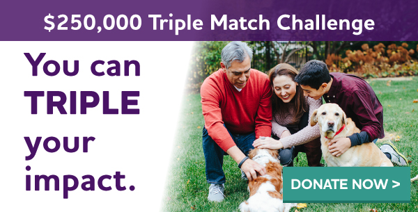 $250,000 Triple Match Challenge - You can TRIPLE your impact.