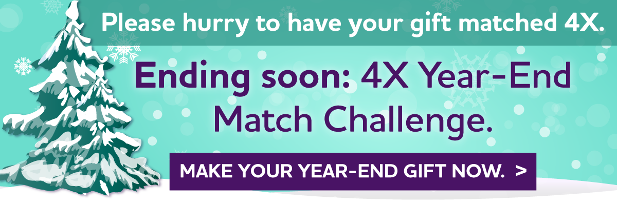 4X Year-End Match Challenge