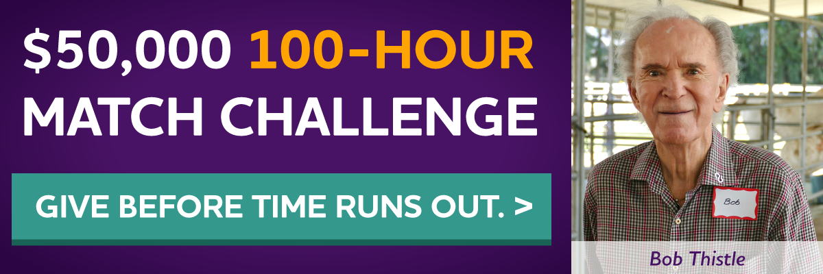 $50,000 100-Hour Match Challenge