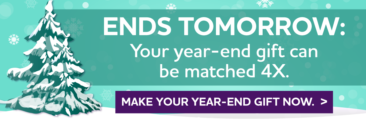 $100,000 4X Year-End Matching Gift Challenge