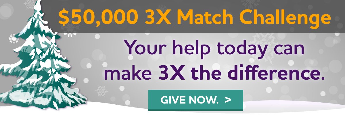 $50,000 3X Match Challenge