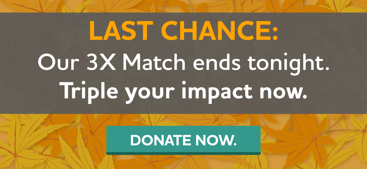 $100,000 3-Day 3X Match Challenge