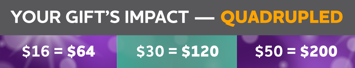 YEAR-END 4X MATCH CHALLENGE 48 HOURS ONLY: Your gift can go 4X as far to help end Alzheimer's.