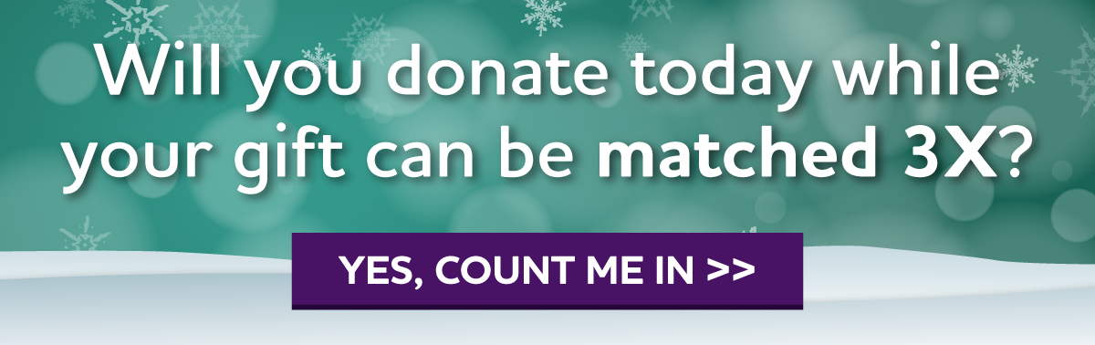 Will you donate today while your gift can be matched 3X?