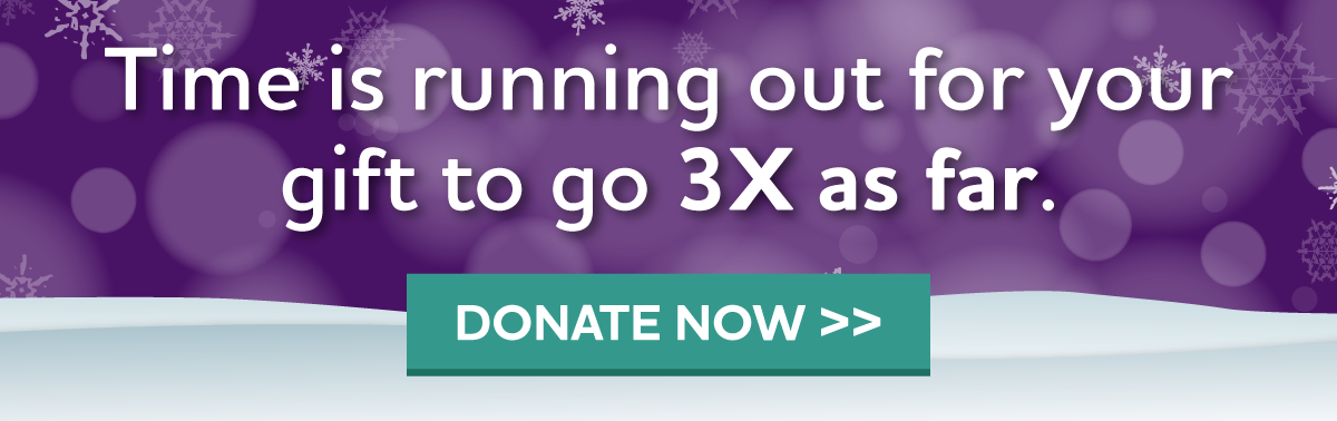 Will you donate today while your gift can be matched 3X?