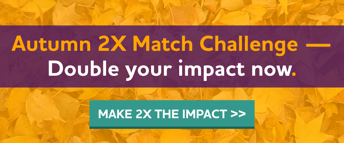 Autumn 2X Match Challenge