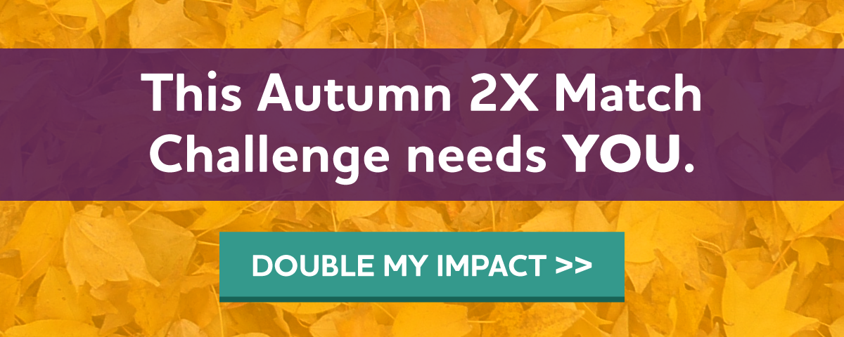 Autumn 2X Match Challenge