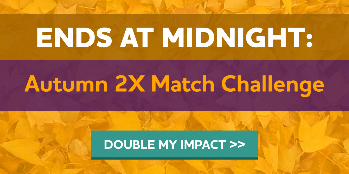 Autumn 2X Match Challenge