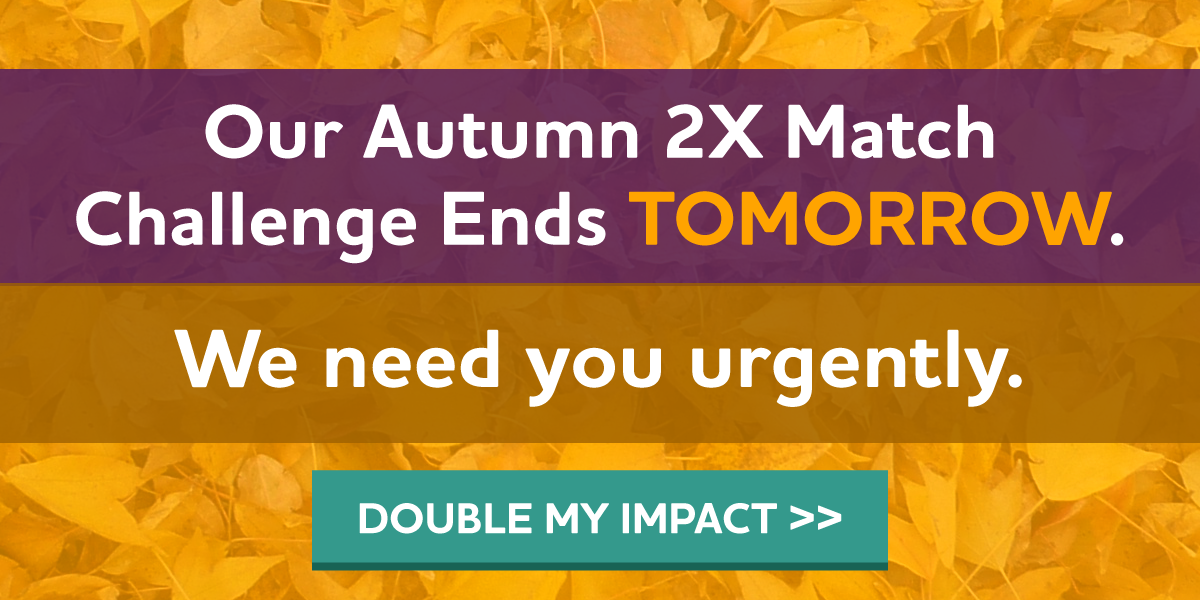 Our Autumn 2X Match Challenge Ends TOMORROW We need you urgently.