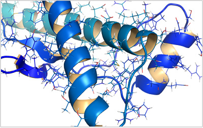 Malformed proteins