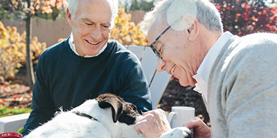 Two older men play with a dog