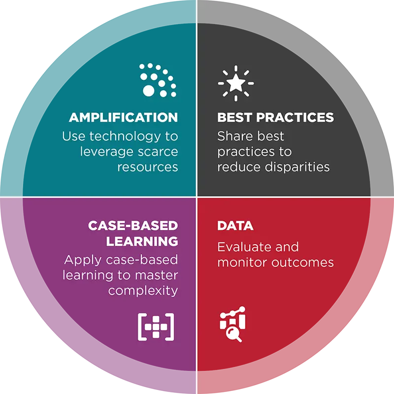 A graphic detailing the four key tenets of ECHO programs: amplification via technology, sharing best practices, case-based learning, and using data to evaluate outcomes.